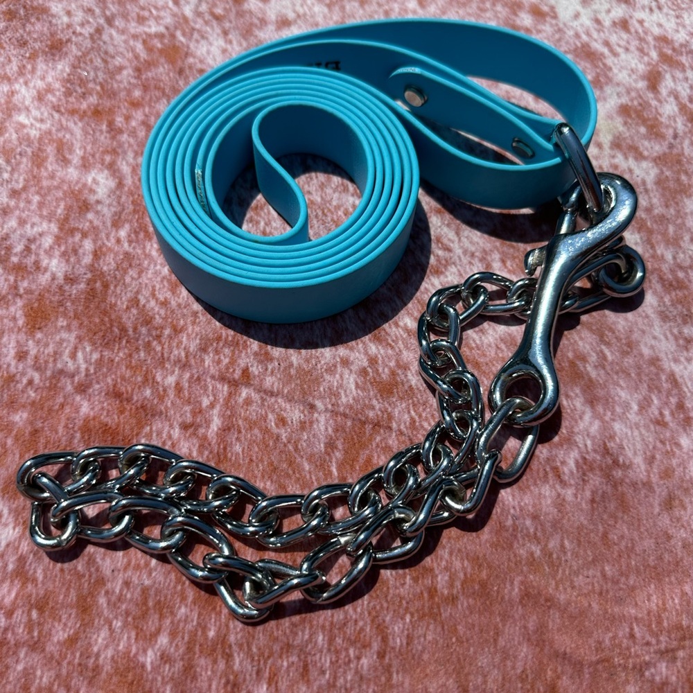 Blue Horse Lead with Shank